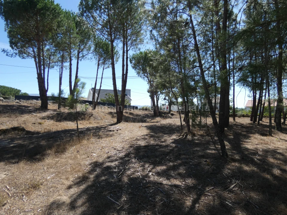 Quinta T0 para Venda em Vila Nova de Tazem Foto 6