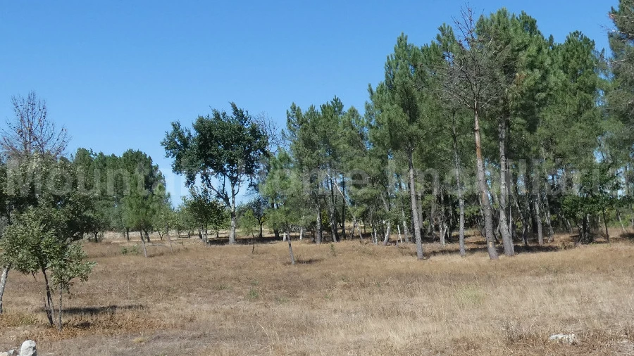 Quinta T0 para Venda em Vila Nova de Tazem