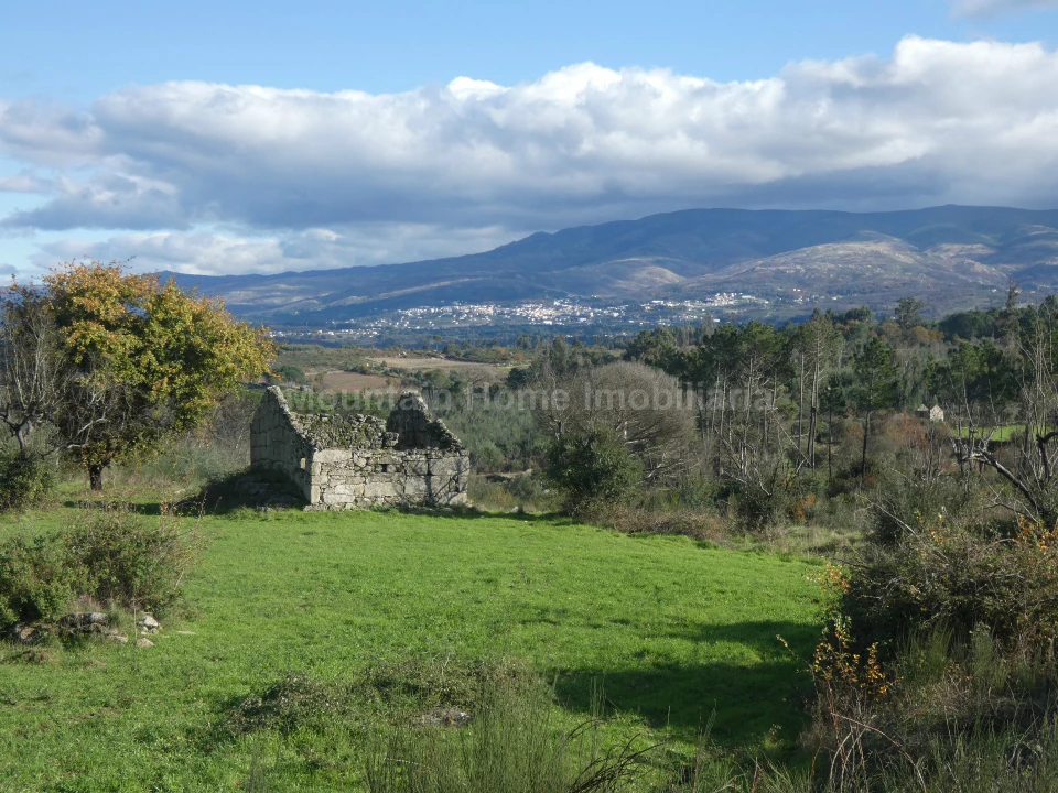Quinta T0 para Venda em Vila Nova de Tazem Foto 1