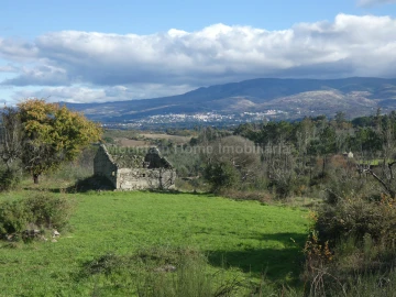 Quinta T0 para Venda em Vila Nova de Tazem