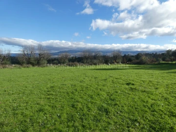 Quinta T0 para Venda em Vila Nova de Tazem