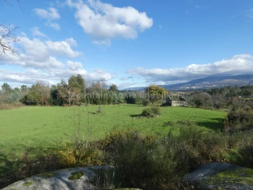 Quinta T0 para Venda em Vila Nova de Tazem