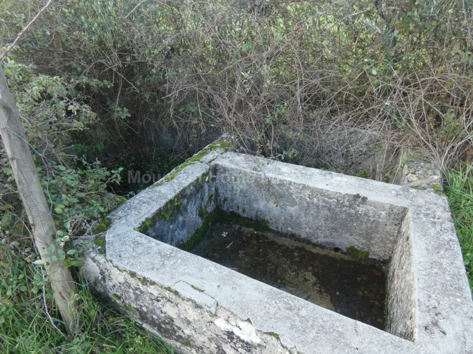 Quinta T0 para Venda em Vila Nova de Tazem Foto 8