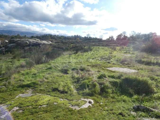 Quinta T0 para Venda em Vila Nova de Tazem Foto 9