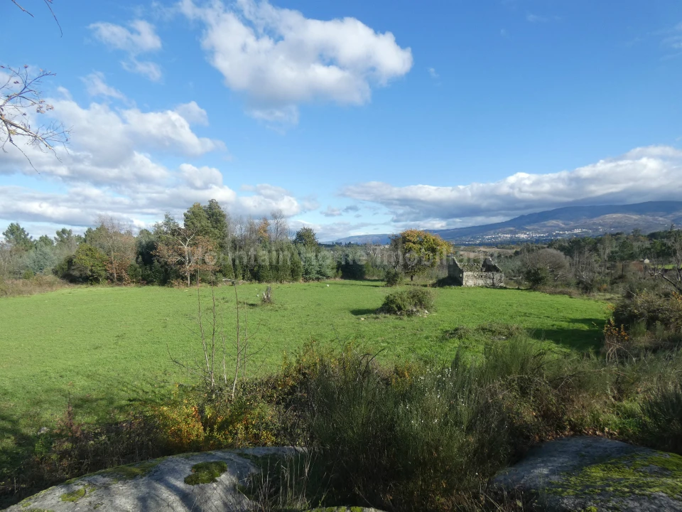 Quinta T0 para Venda em Vila Nova de Tazem Foto 2