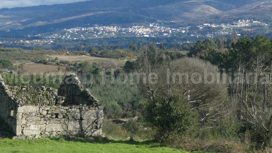Quinta T0 para Venda em Vila Nova de Tazem