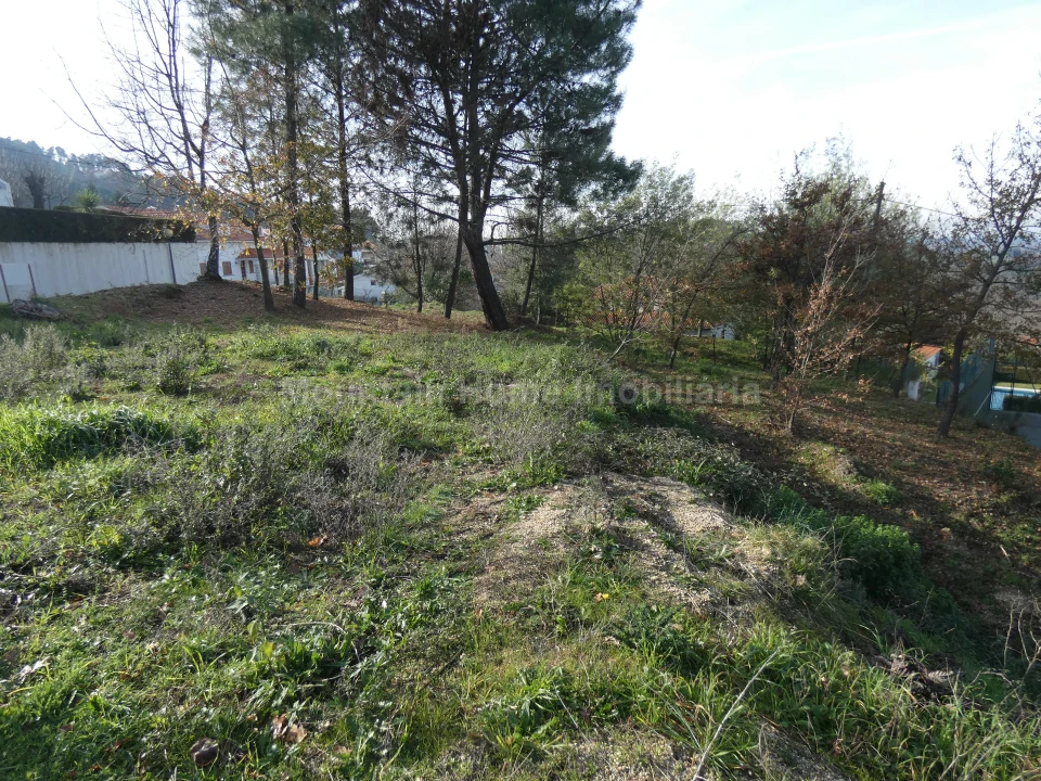 Terreno para Venda em Seia, São Romão e Lapa dos Dinheiros Foto 6