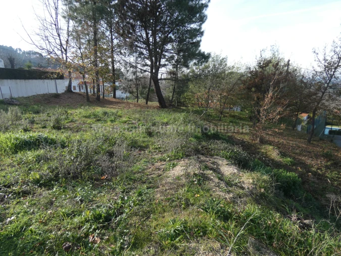 Terreno para Venda em Seia, São Romão e Lapa dos Dinheiros Foto 6