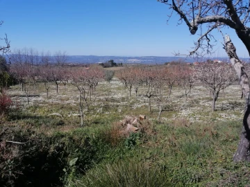 Negócio para Venda em Linhares