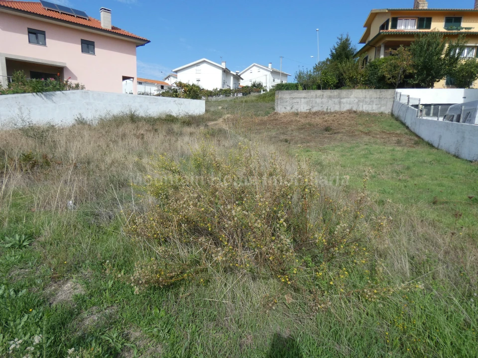 Terreno para Venda em Seia, São Romão e Lapa dos Dinheiros Foto 1
