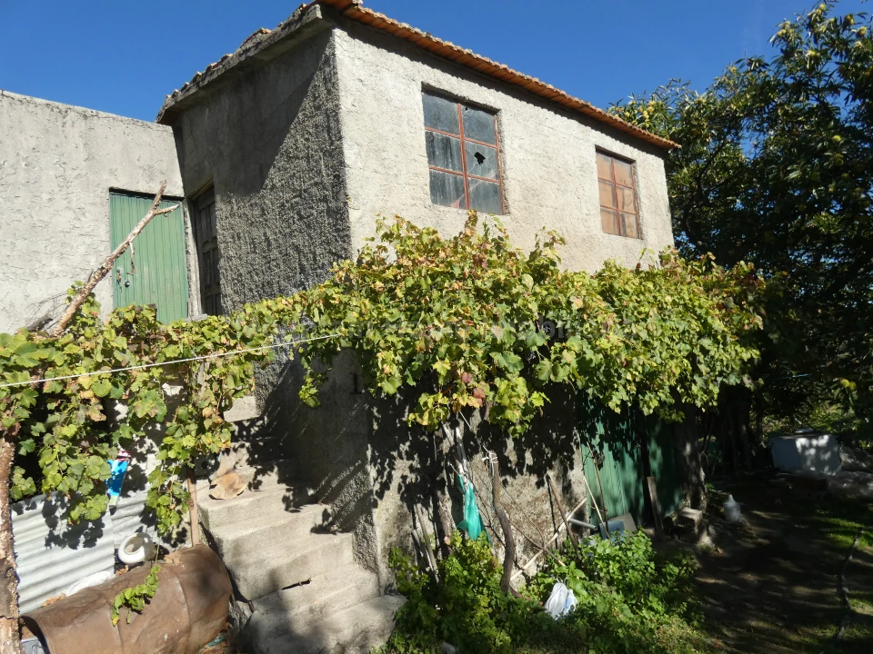 Quinta T0 para Venda em Sandomil Foto 7