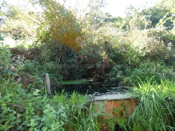 Quinta T0 para Venda em Sandomil
