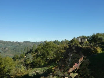 Quinta T0 para Venda em Sandomil