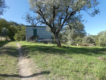 Quinta T0 para Venda em Sandomil