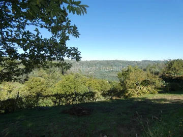 Quinta T0 para Venda em Sandomil