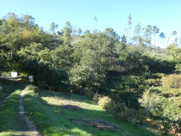 Quinta T0 para Venda em Sandomil