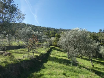 Quinta T0 para Venda em Sandomil