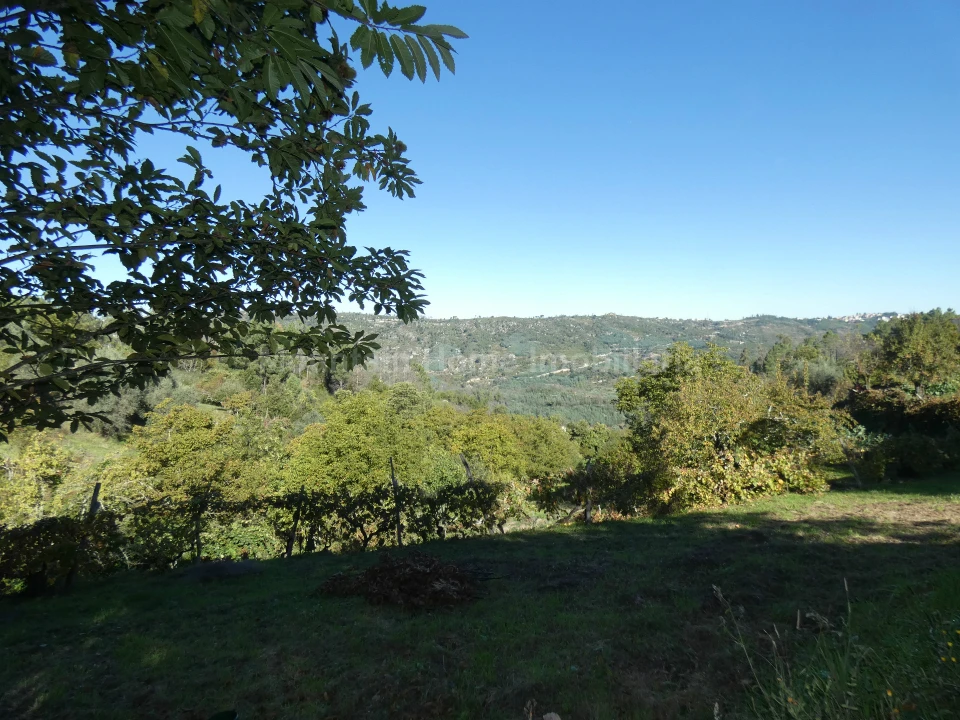 Quinta T0 para Venda em Sandomil Foto 4