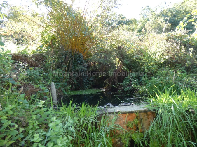 Quinta T0 para Venda em Sandomil Foto 16
