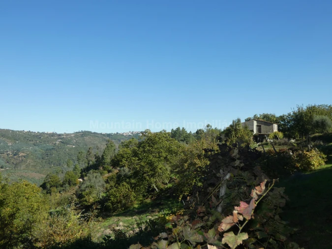 Quinta T0 para Venda em Sandomil Foto 2