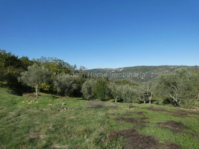 Quinta T0 para Venda em Sandomil Foto 12