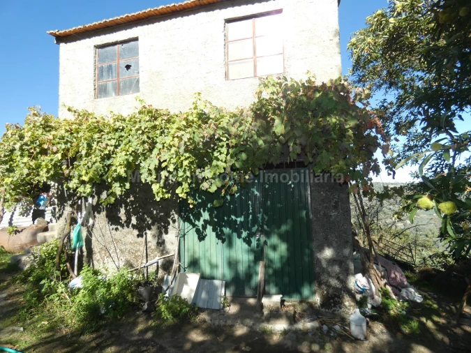 Quinta T0 para Venda em Sandomil Foto 8