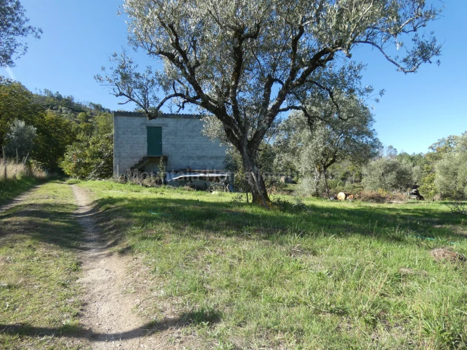 Quinta T0 para Venda em Sandomil Foto 10