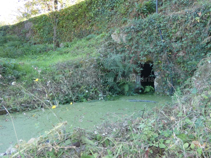 Quinta T0 para Venda em Sandomil Foto 5