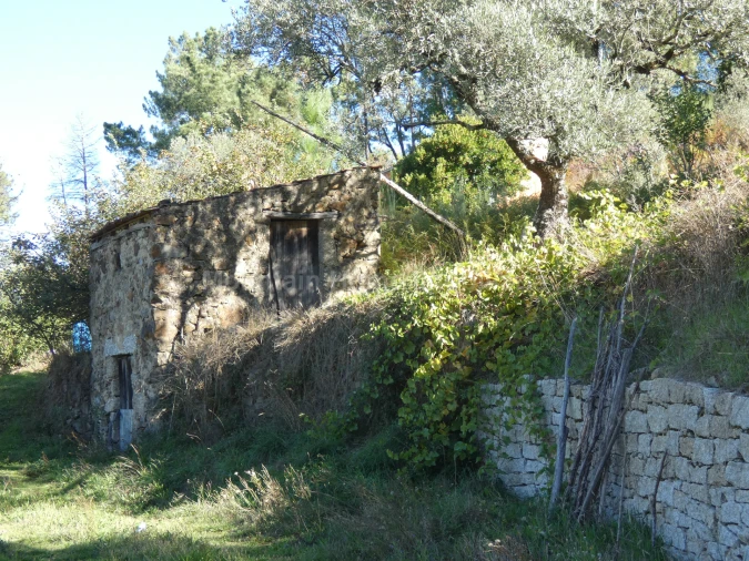 Quinta T0 para Venda em Sandomil Foto 15