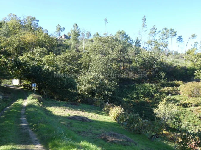 Quinta T0 para Venda em Sandomil Foto 6