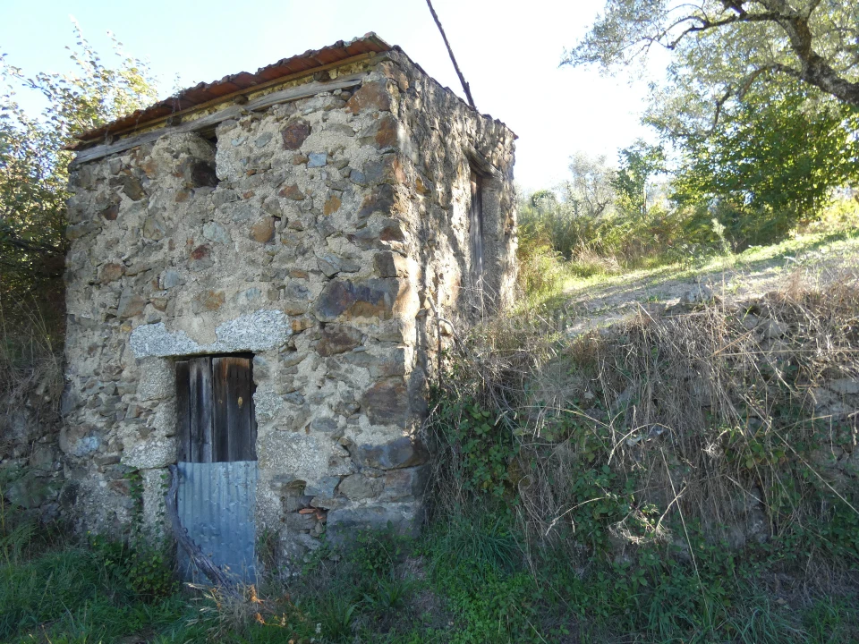 Quinta T0 para Venda em Sandomil Foto 14