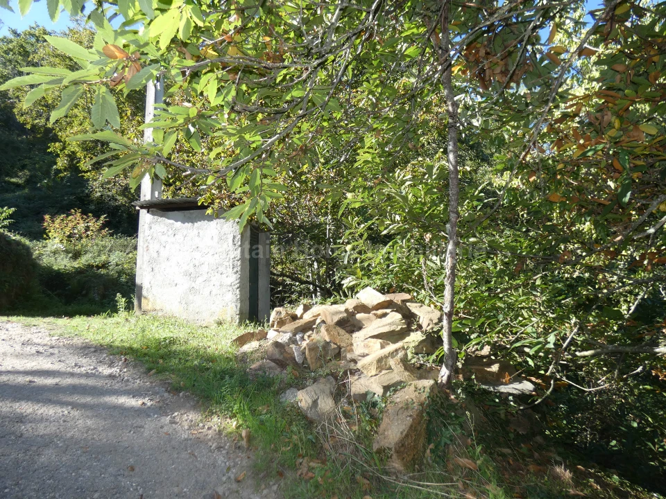 Quinta T0 para Venda em Sandomil Foto 3
