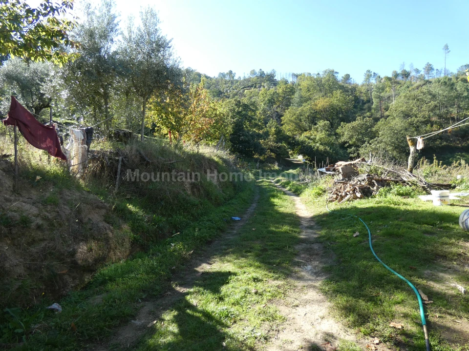 Quinta T0 para Venda em Sandomil Foto 19