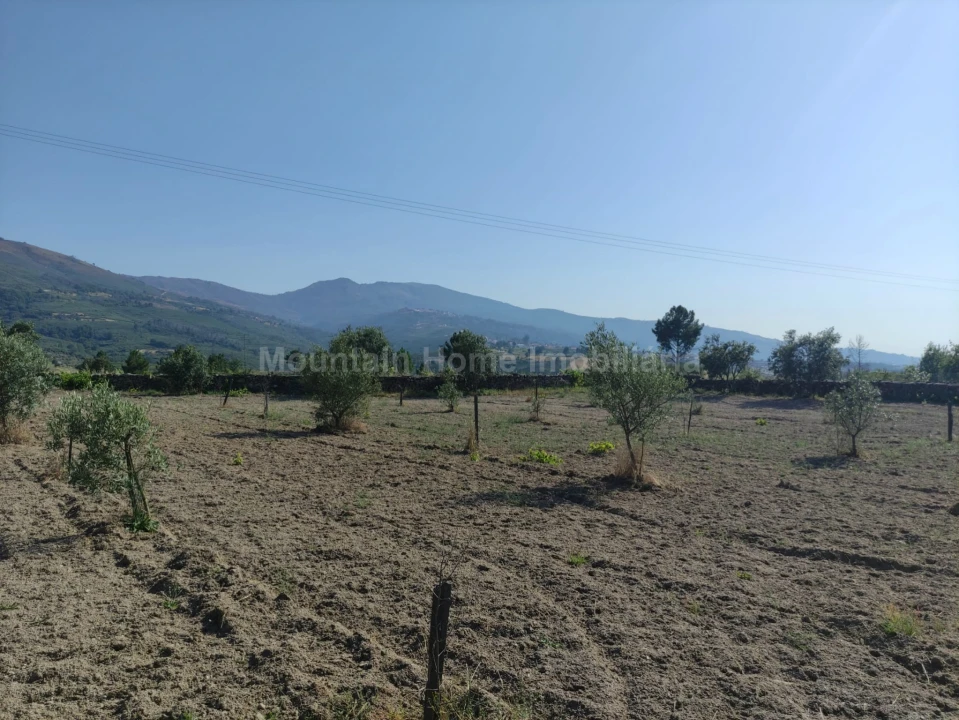 Terreno Agricola ou Rústico para Venda em Figueiró da Serra e Freixo da Serra Foto 1