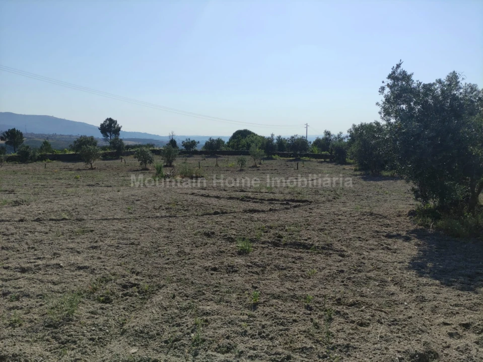 Terreno Agricola ou Rústico para Venda em Figueiró da Serra e Freixo da Serra Foto 2