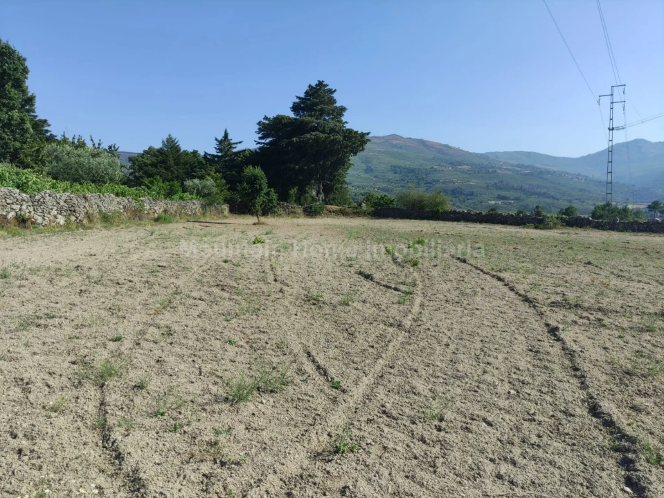 Terreno Agricola ou Rústico para Venda em Figueiró da Serra e Freixo da Serra Foto 3