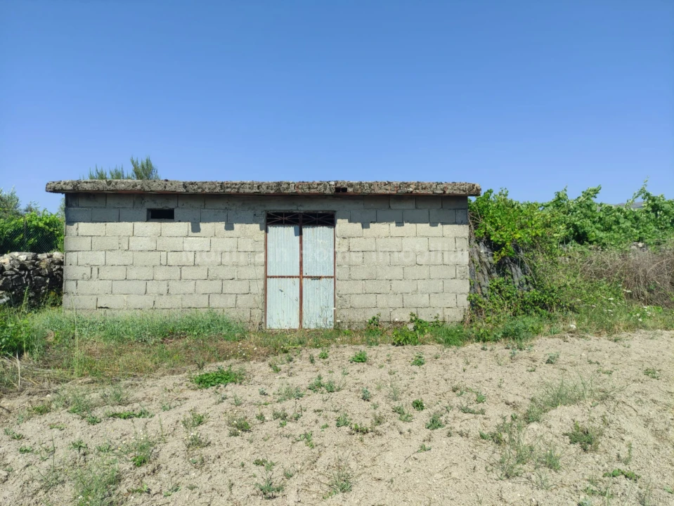 Terreno Agricola ou Rústico para Venda em Figueiró da Serra e Freixo da Serra Foto 4