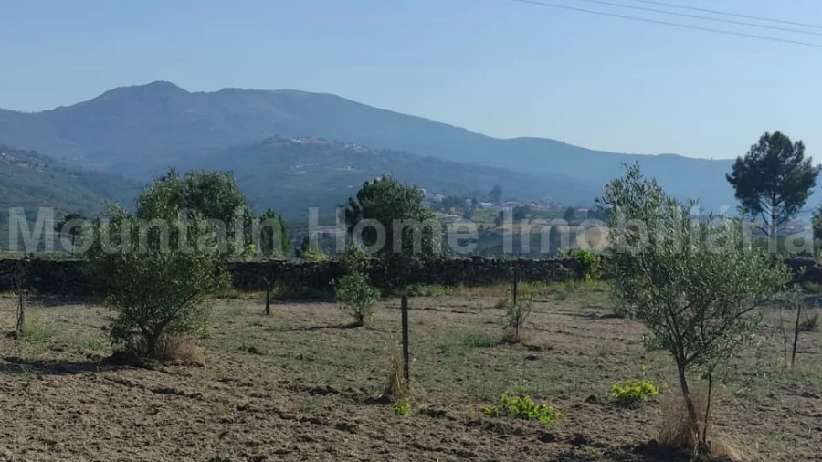 Terreno Agricola ou Rústico para Venda em Figueiró da Serra e Freixo da Serra