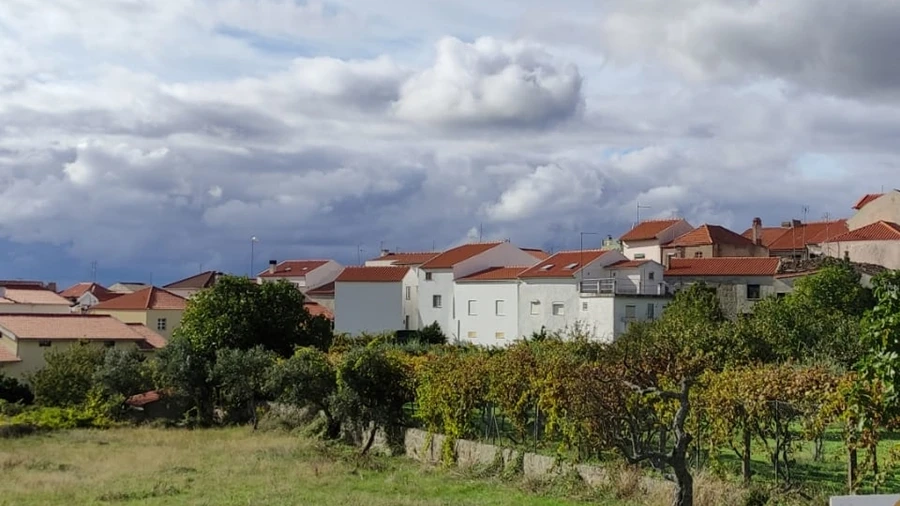 Terreno para Venda em Figueiró da Serra e Freixo da Serra