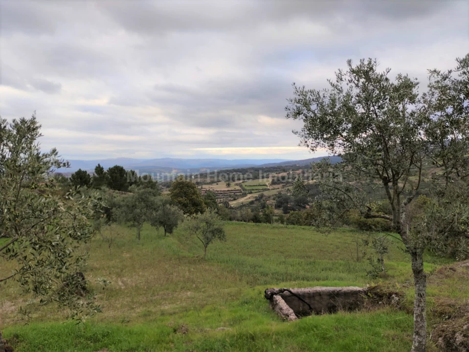 Quinta T0 para Venda em Figueiró da Serra e Freixo da Serra Foto 2