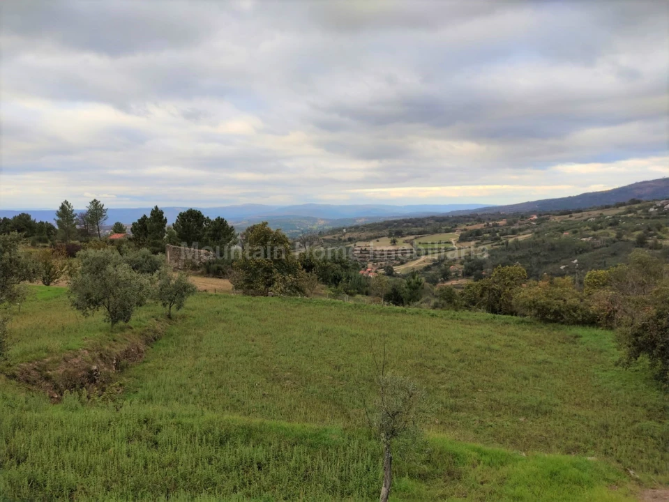 Quinta T0 para Venda em Figueiró da Serra e Freixo da Serra Foto 5