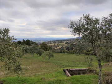 Quinta T0 para Venda em Figueiró da Serra e Freixo da Serra