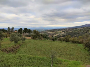 Quinta T0 para Venda em Figueiró da Serra e Freixo da Serra
