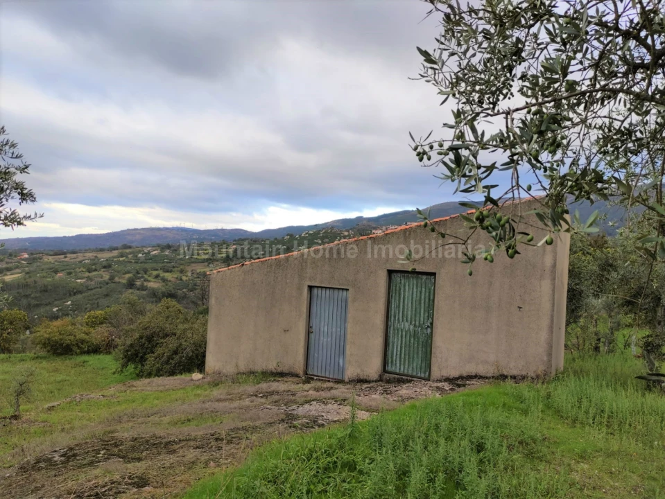 Quinta T0 para Venda em Figueiró da Serra e Freixo da Serra Foto 1