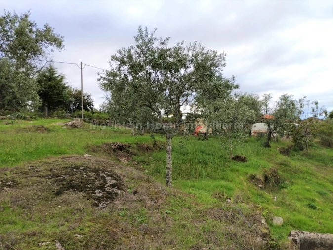 Quinta T0 para Venda em Figueiró da Serra e Freixo da Serra Foto 6