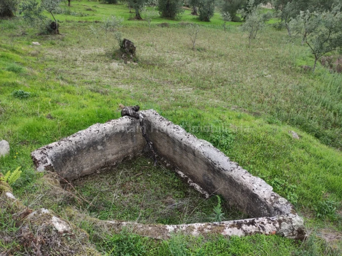 Quinta T0 para Venda em Figueiró da Serra e Freixo da Serra Foto 4