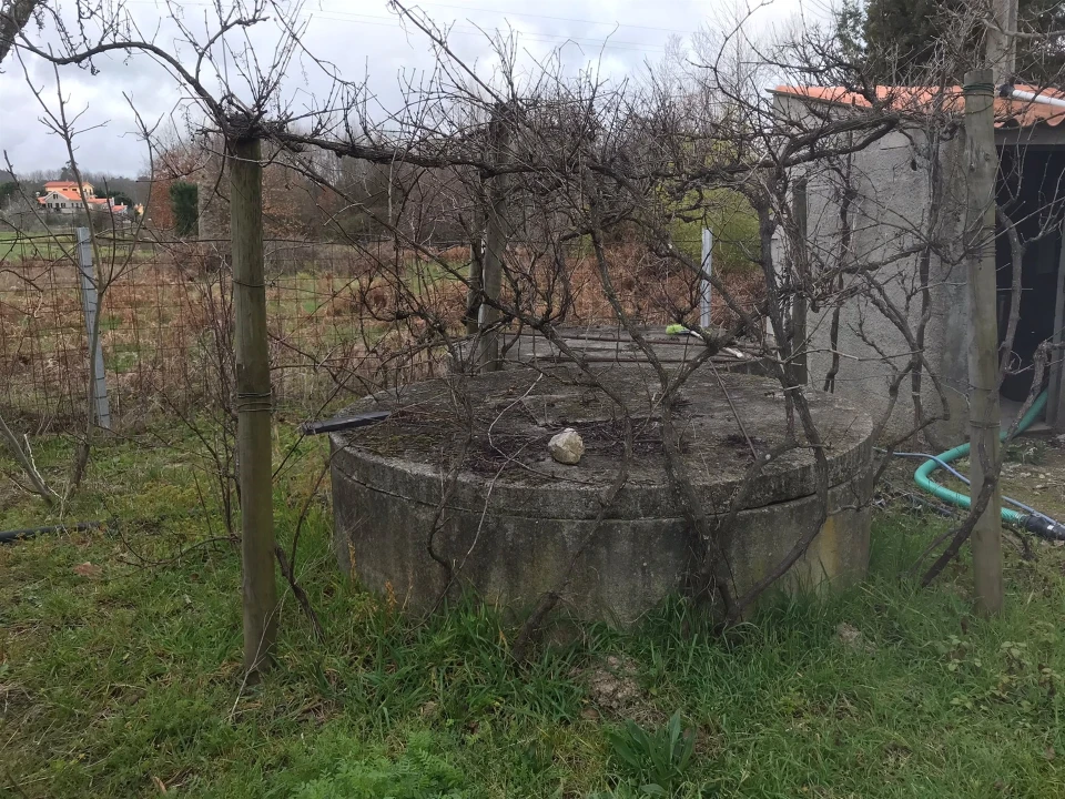 Quinta T3 para Venda em Rio Torto e Lagarinhos Foto 16