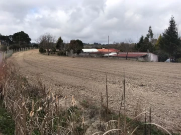Quinta T3 para Venda em Rio Torto e Lagarinhos