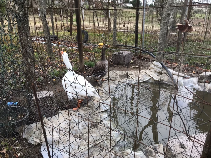 Quinta T3 para Venda em Rio Torto e Lagarinhos Foto 19