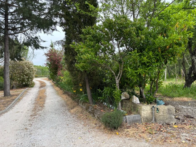 Quinta T3 para Venda em Rio Torto e Lagarinhos Foto 13